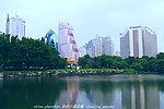 荔枝公园 楼景