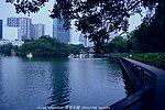 荔枝公园 深圳