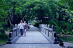 荔枝公园 深圳