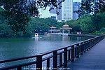 荔枝公园 深圳