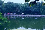 荔枝公园 深圳