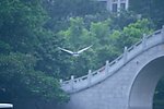 荔枝公园 深圳