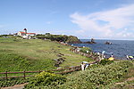 韩国济州岛涉地岬
