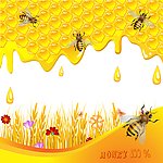 蜜蜂蜂蜜