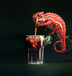 变色龙