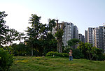 小区风景