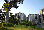 小区一角