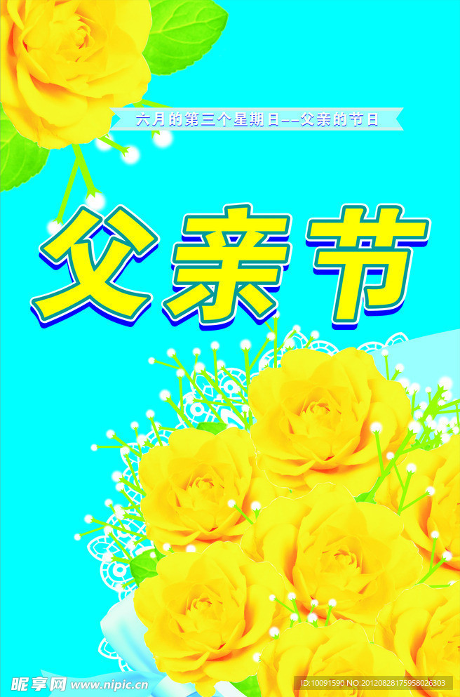 黄玫瑰 满天星