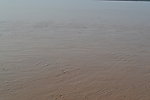 黄河水