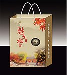 手提袋（平面图）