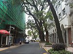 城市风景