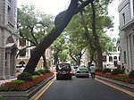 城市风景
