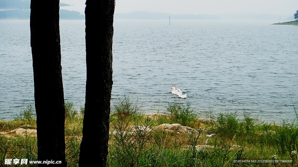 天鹅湖