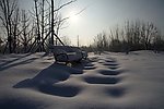 黄雪中的脚印