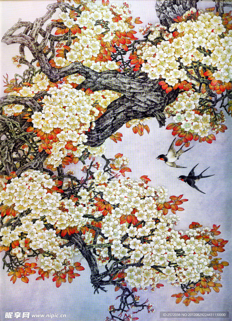 一树芳香天上来