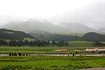 山雨欲来