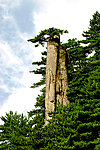 山林风景