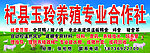 养殖合作社