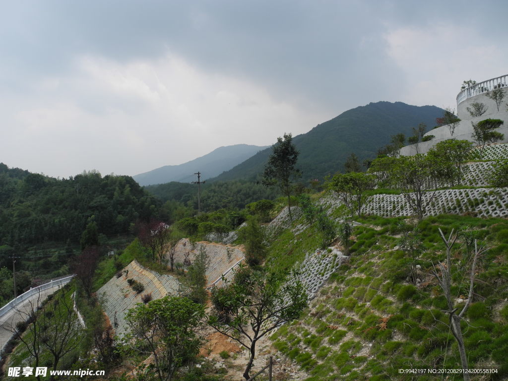 绿化山坡