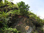 山松