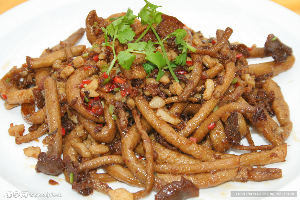 特色肉碎茶树菇