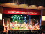 大型活动