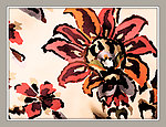 花朵素描