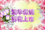 繁花似锦新花上市