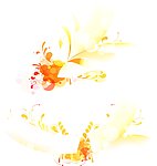 时尚花纹花边