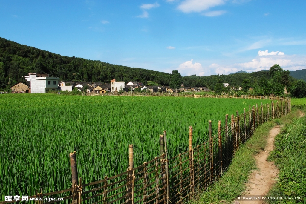 田园风光