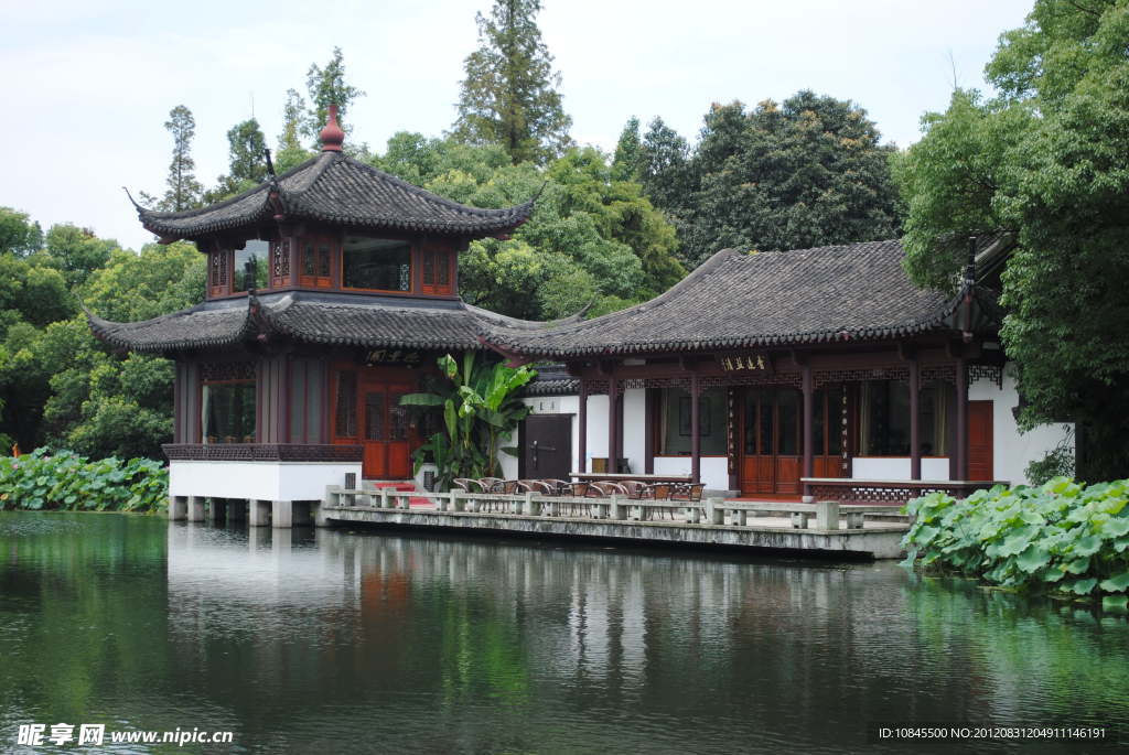 庭院