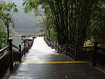竹林小道