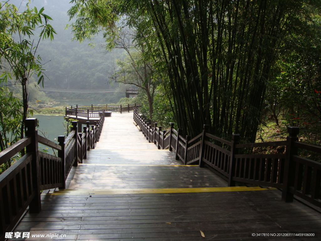 竹林小道