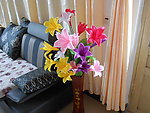 百合花