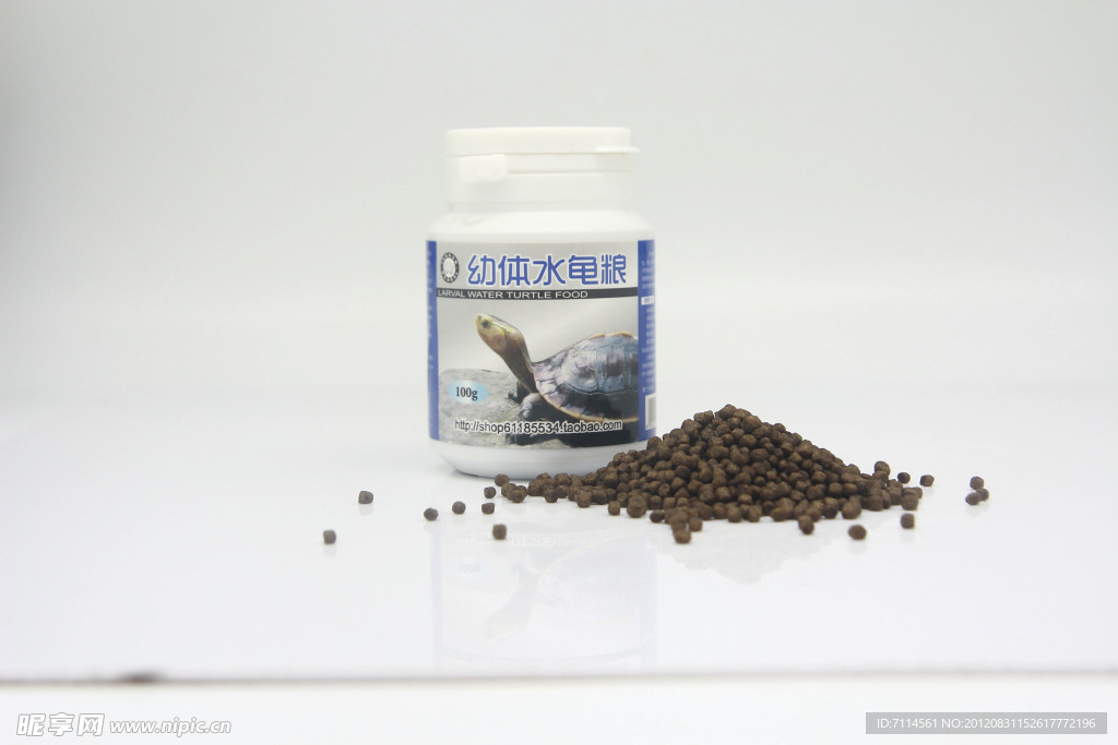 饲料