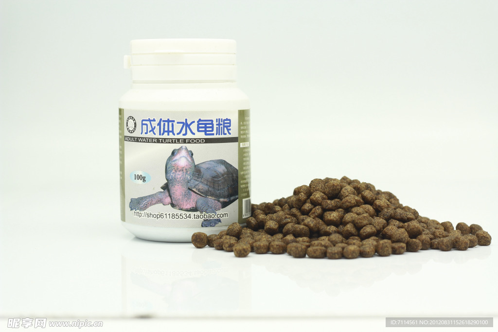 饲料