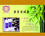 瑞倪维儿黑豆茸宣传单