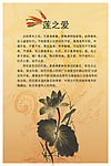 莲之爱展板