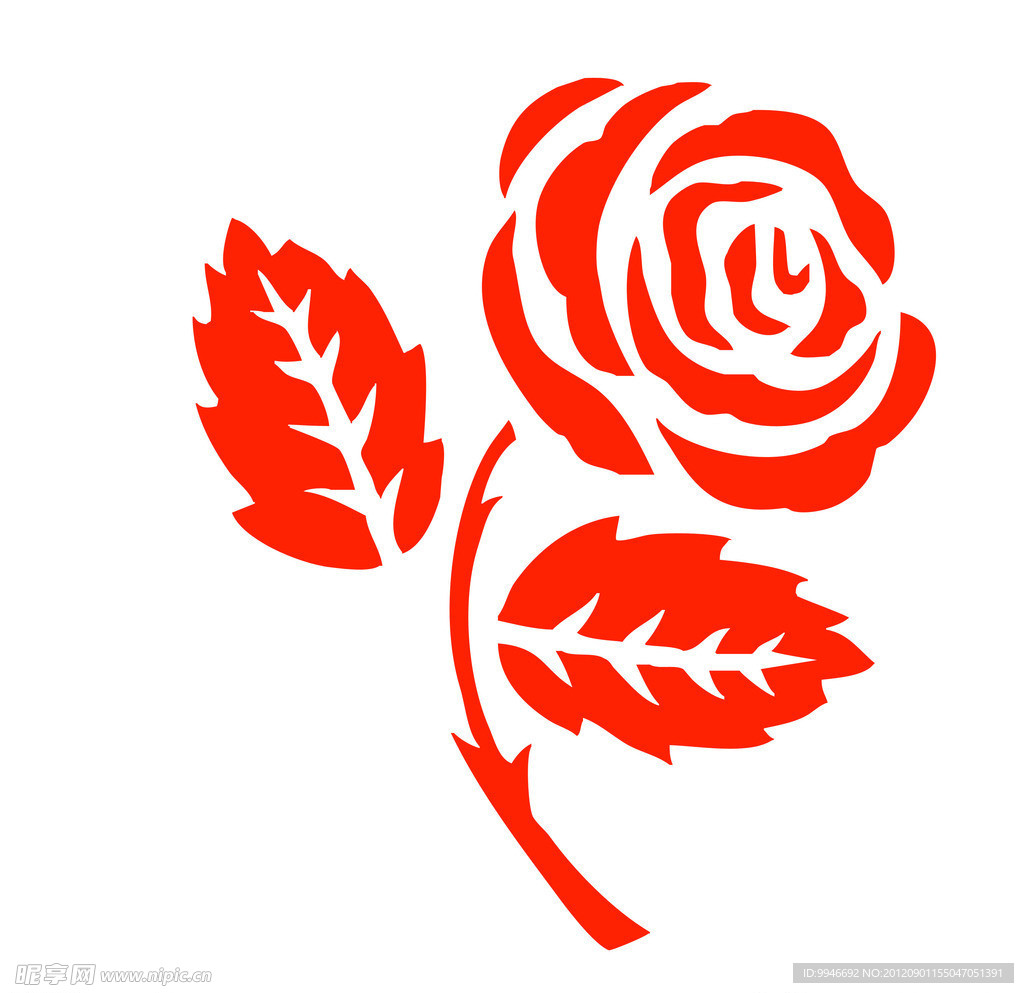 玫瑰花