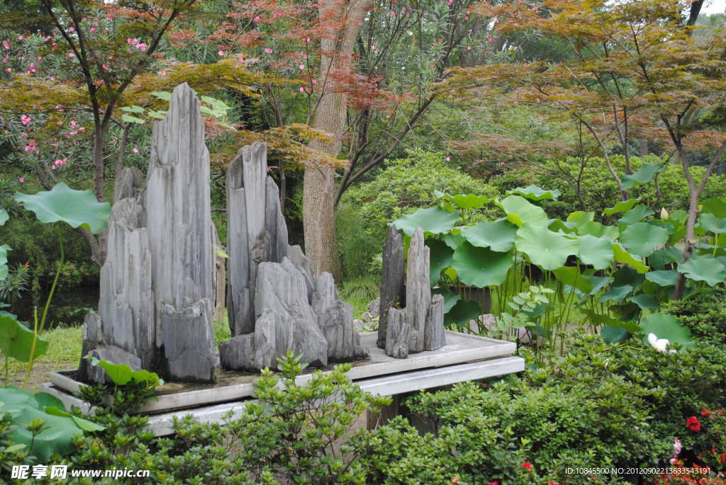 拙政园假山盆景