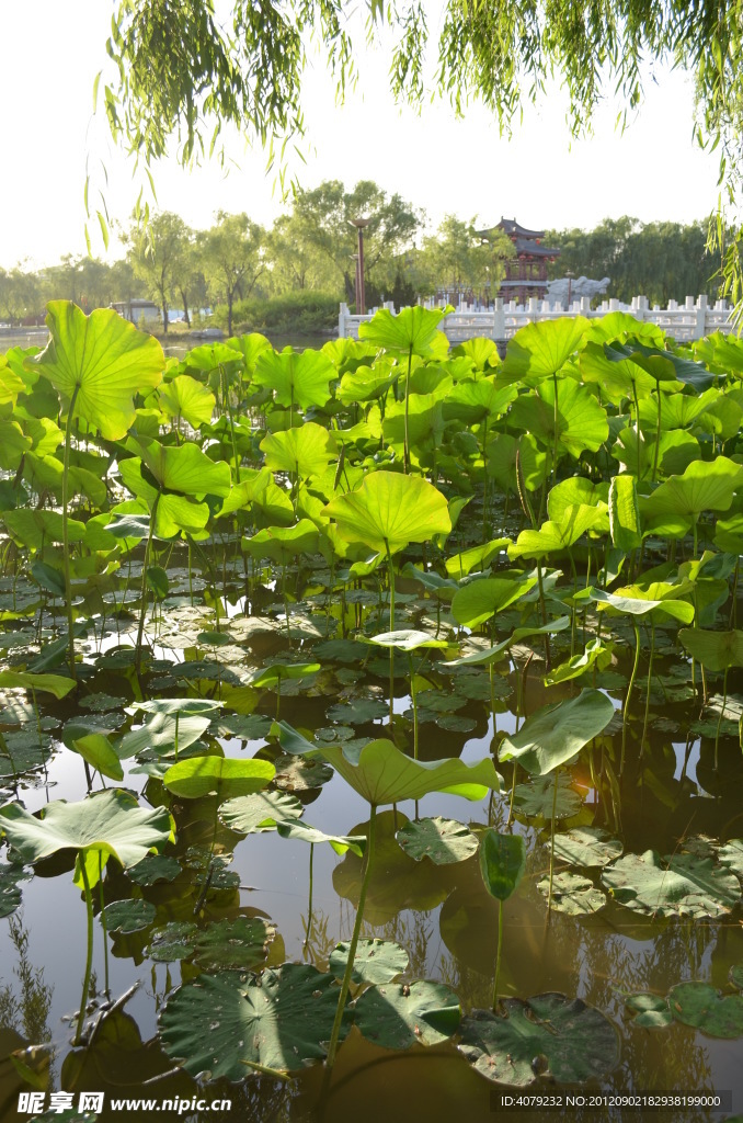 大唐芙蓉园内景龙舫