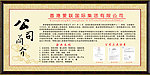 公司简介