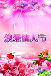浪漫情人节
