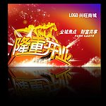 隆重开业展板