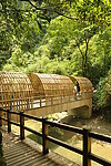 山谷风景