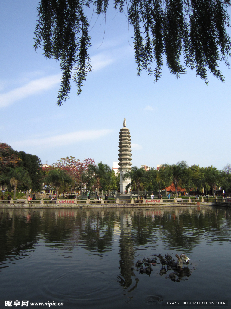生态公园
