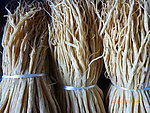 干货党参(非高清)