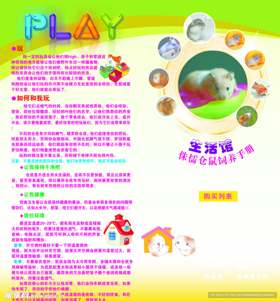 爬行动物展板