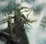 古木知春