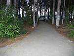 林间小路